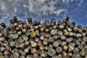 Holz: ohne großen Arbeitsaufwand heizen!